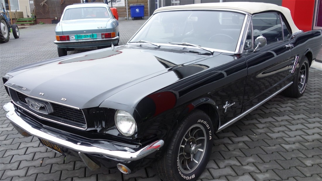 mustang66.jpg