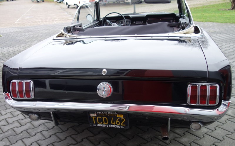 mustang2.jpg