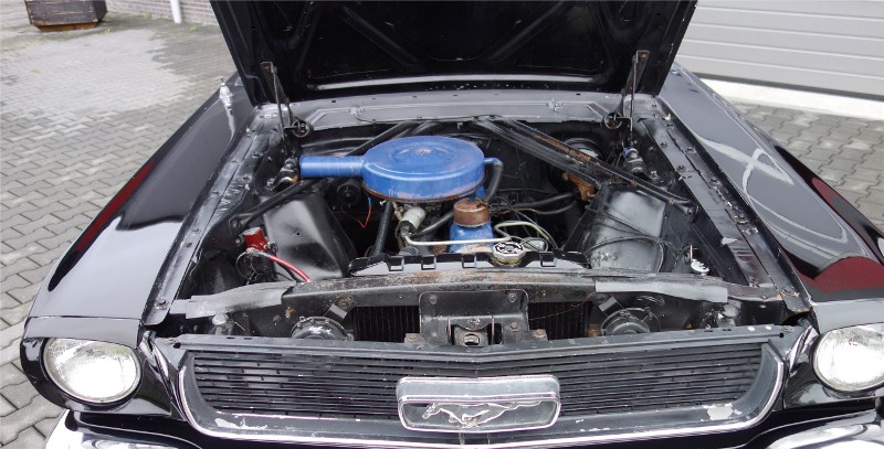 mustang5.jpg