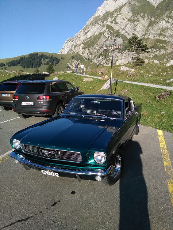 IMG_20150830_183145 - Kopie.jpg