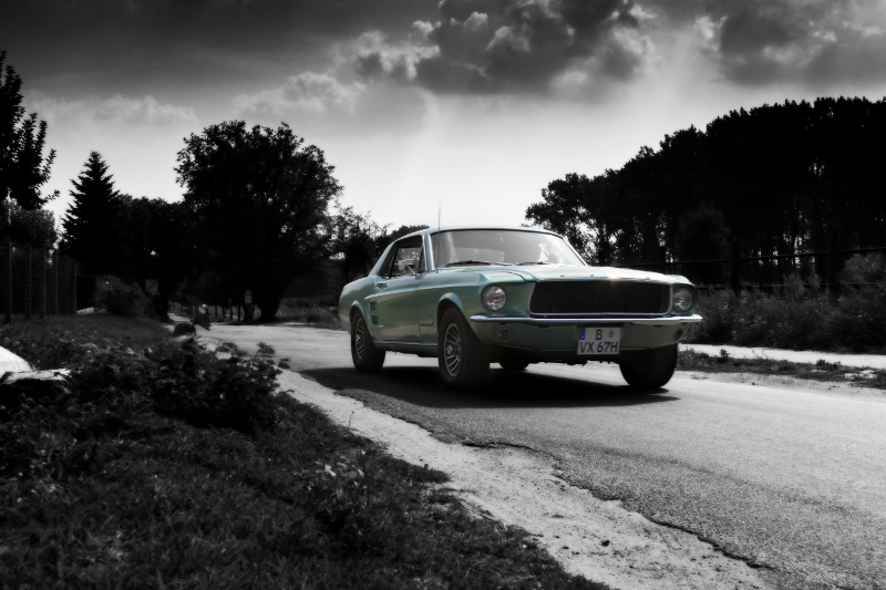 Mustang_s.jpg