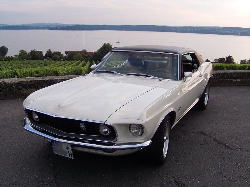 Mustang07092012_800x600.jpg
