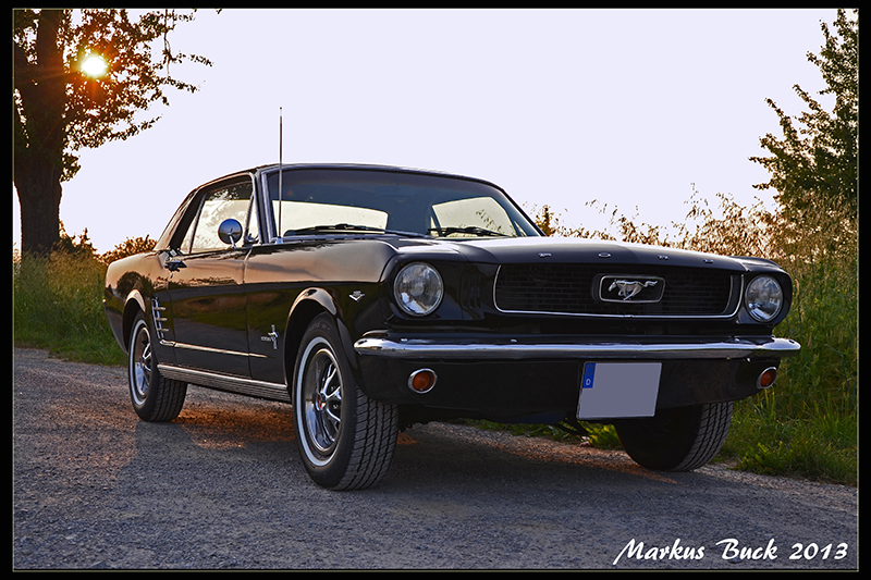 DSC_8134_web.jpg