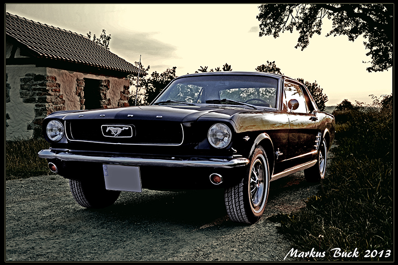 DSC_8135_Version2_web.jpg