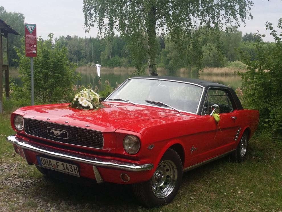 20150523_145736.jpg