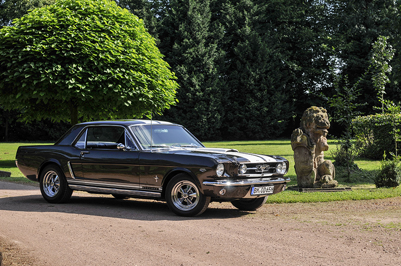 Mustang-006.jpg