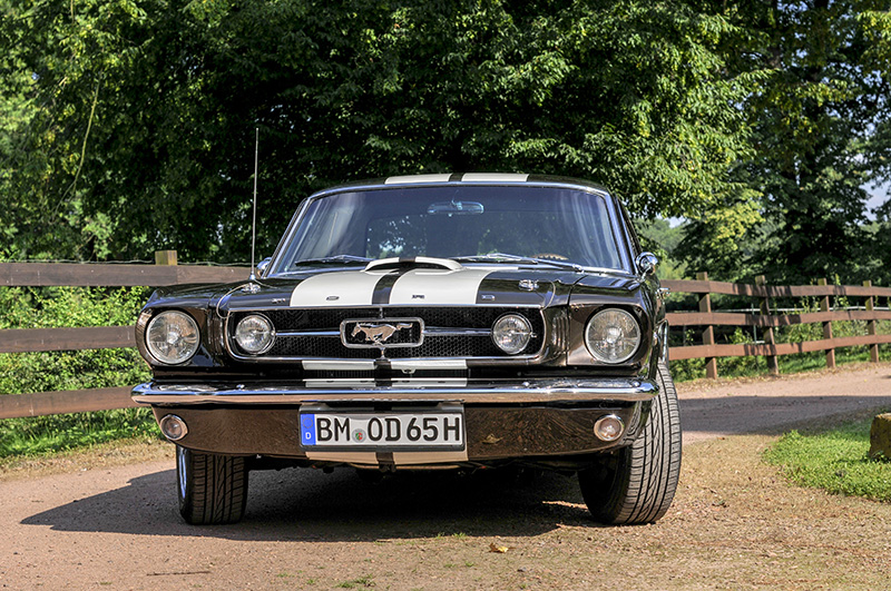 Mustang-007.jpg