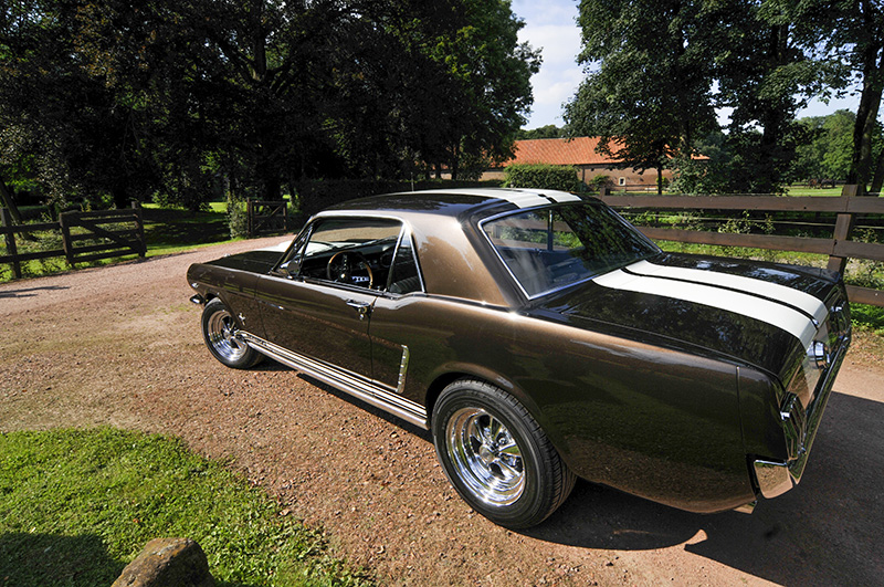 Mustang-019.jpg