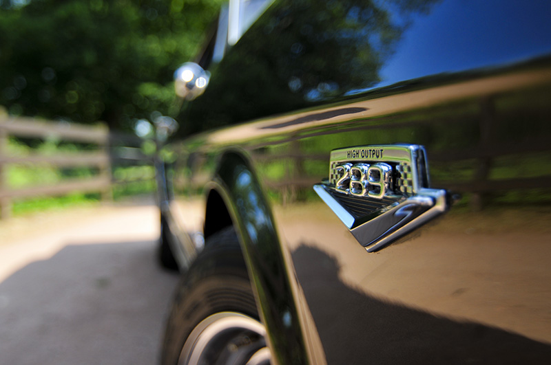 Mustang-030.jpg