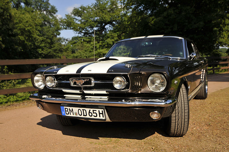 Mustang-085.jpg