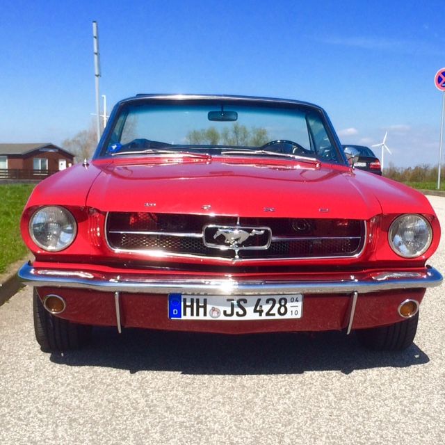 Mustang2.jpg