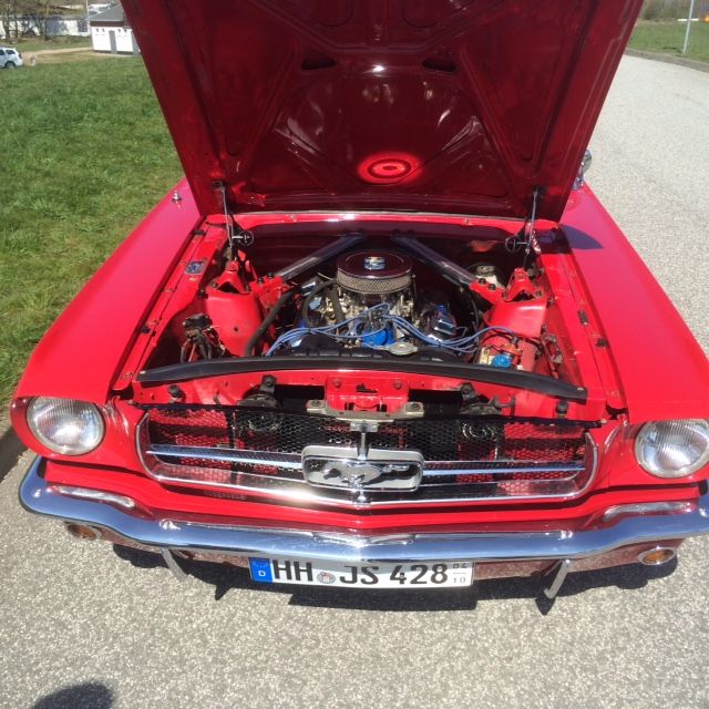Mustang3.jpg
