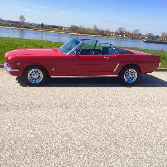 Mustang 1.jpg