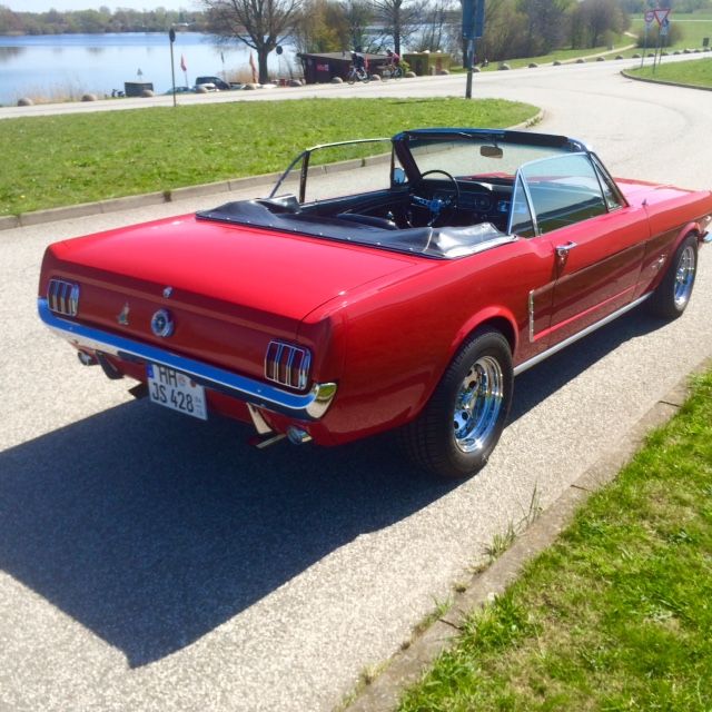 Mustang4.jpg