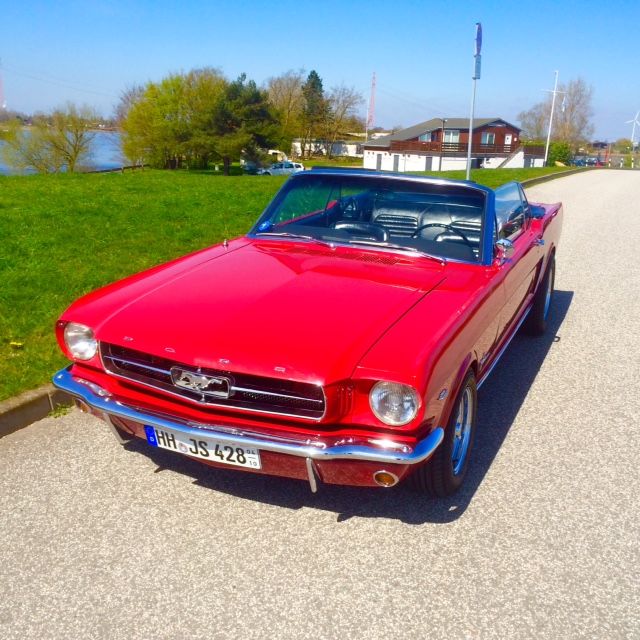 Mustang5.jpg