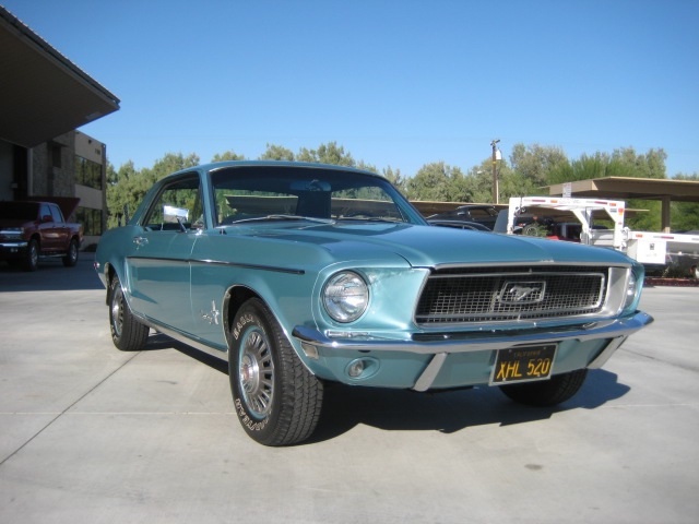 Mustang.JPG