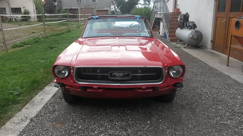 Mustang 4.jpg