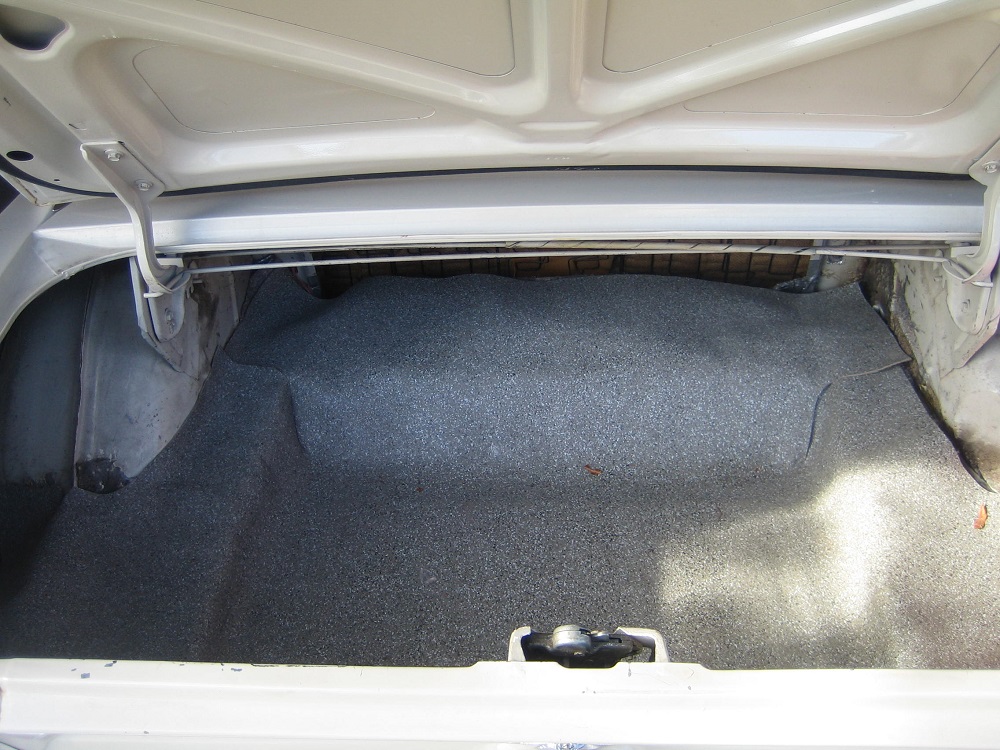 Mustang für Antz 0022.jpg