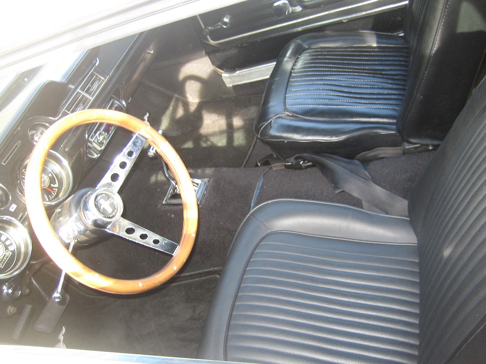 Mustang für Antz 0055.jpg