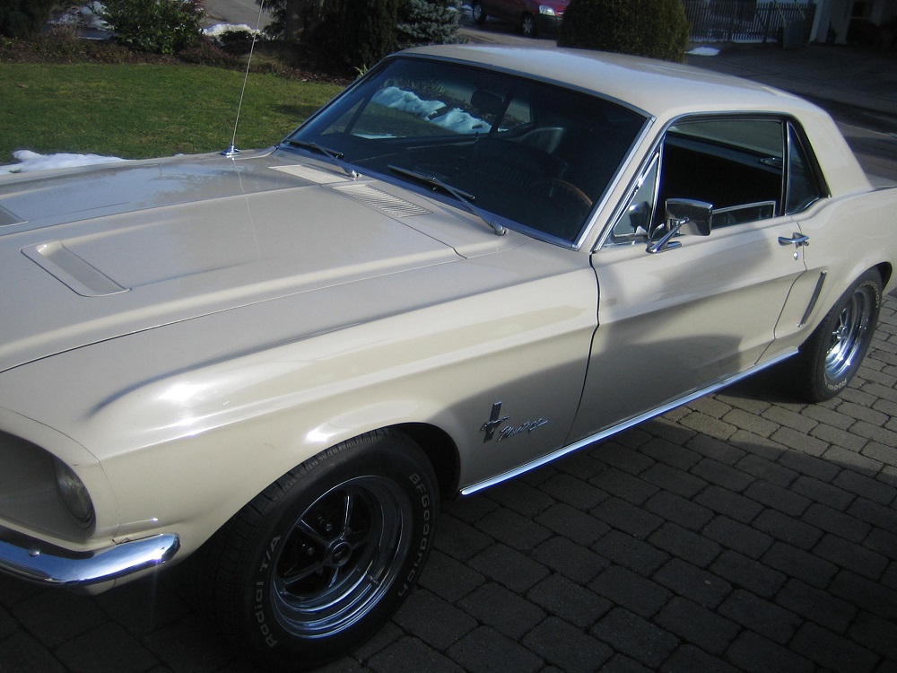Mustang für Antz 0044.jpg