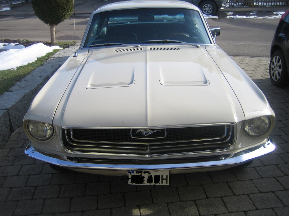 Mustang für Antz 0033.jpg