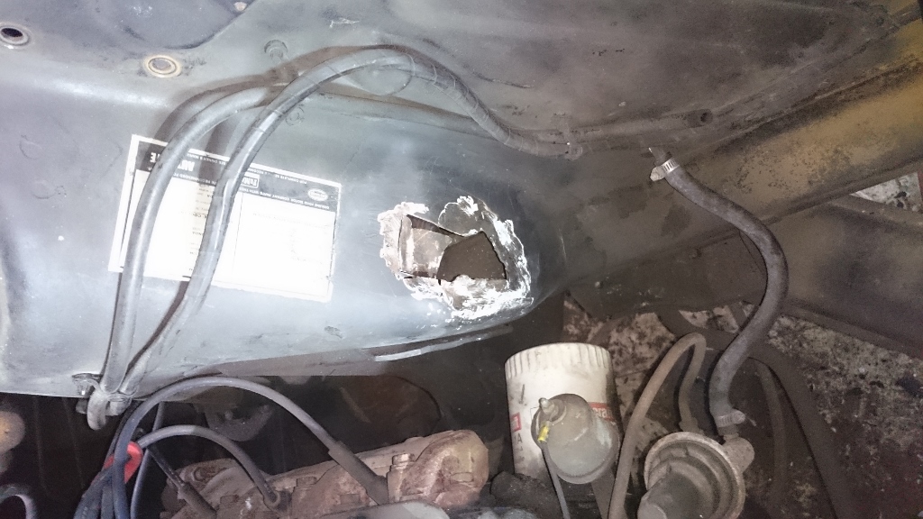 DSC_0600 (576x1024).jpg