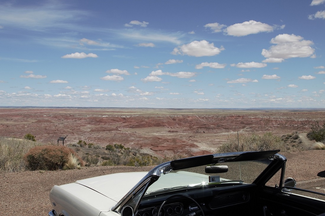 Petrified Forest NP