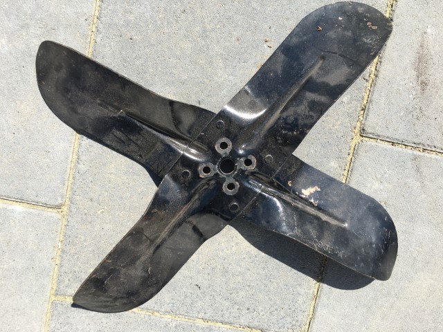 IMG_0823 (Small).JPG