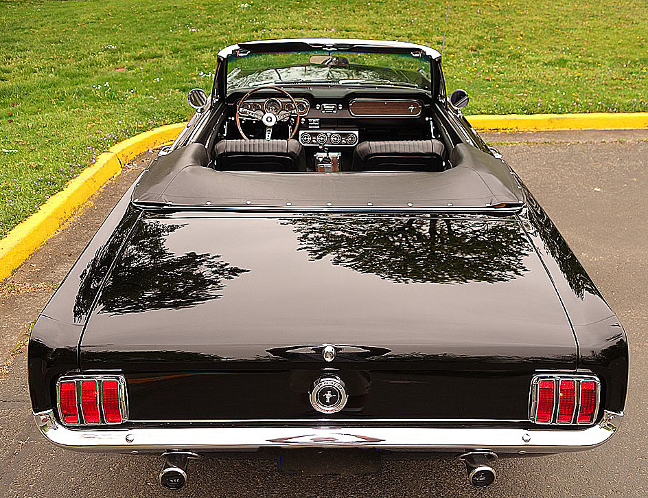 Mustang1.jpg