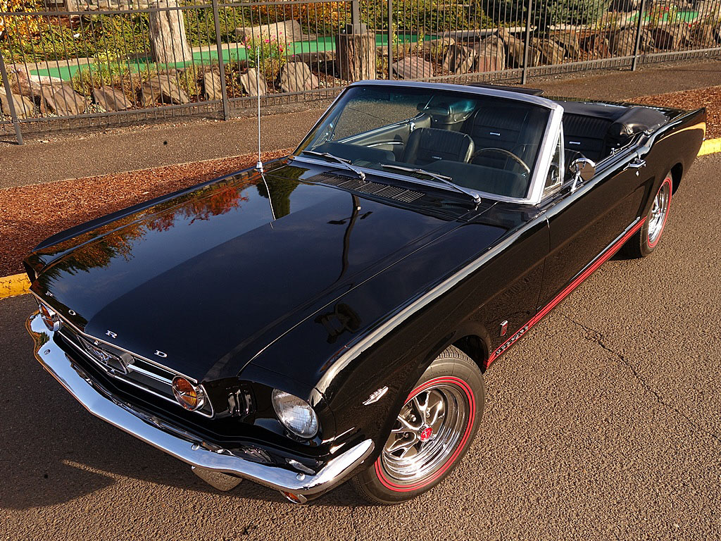 Mustang 3.jpg