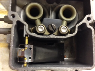 Ein neuer Schwimmer hmmm