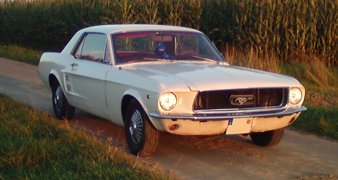 Mustang Forumsvorstellung.jpg