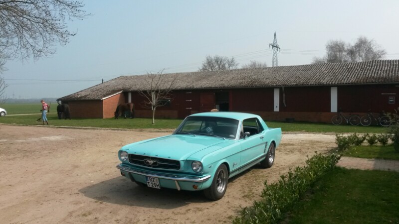 20150410_122342-800x450.jpg