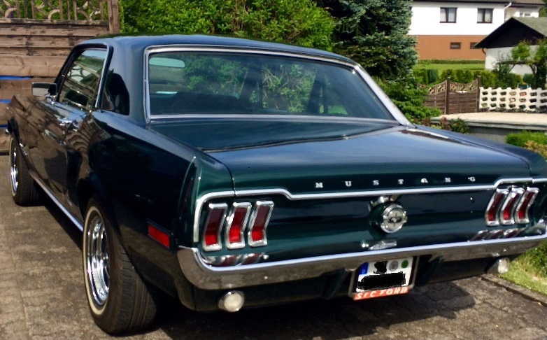 IMG_9933.JPG