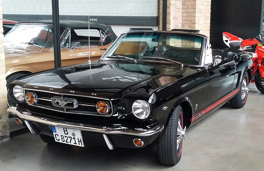 Mustang9neumi.jpg