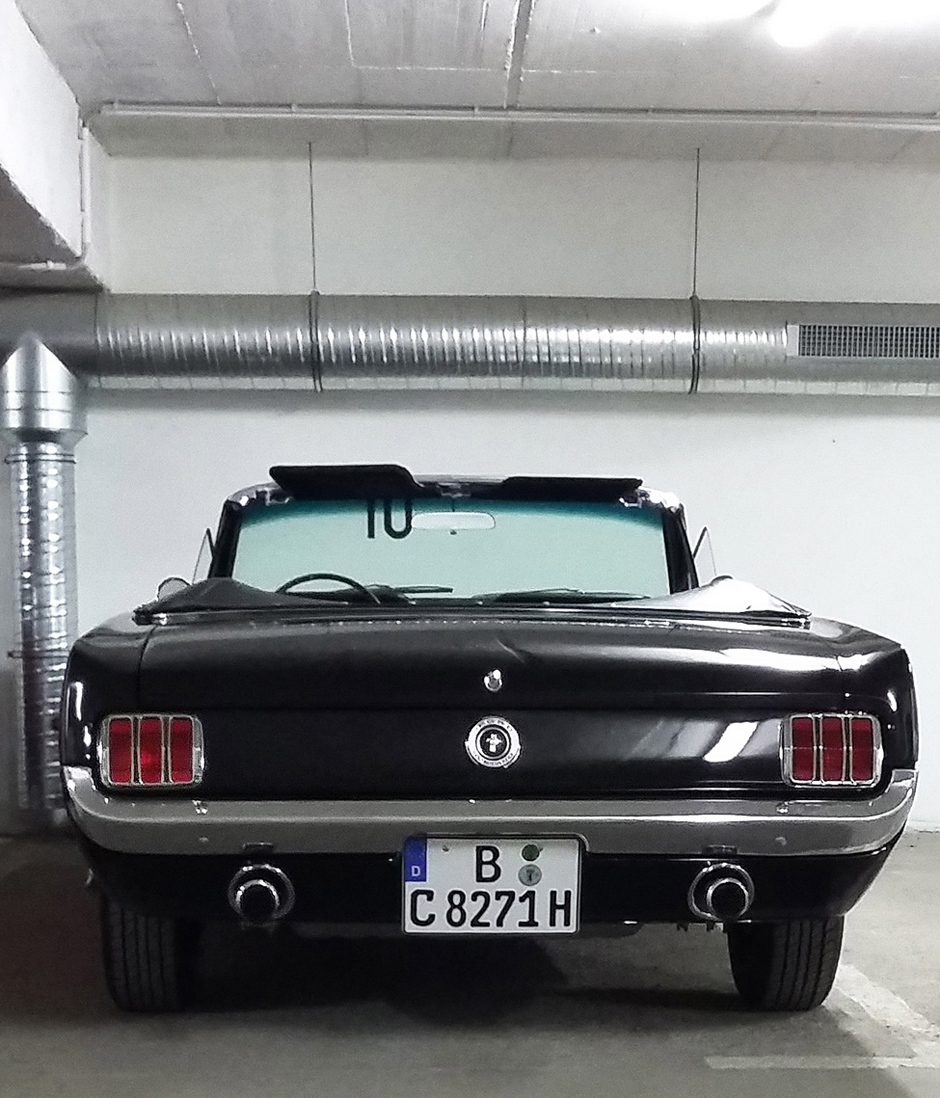 Mustangneu8mi.jpg