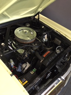 IMG_6063.JPG