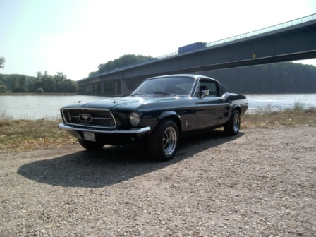Mustang.JPG
