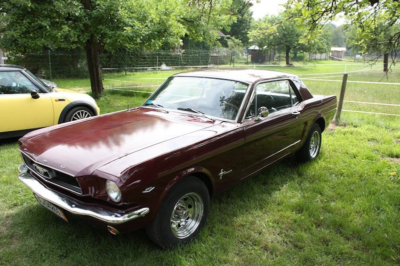 Mustang_2.JPG