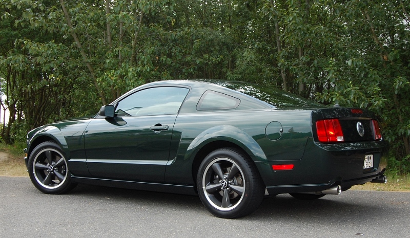 5 (800x465).jpg
