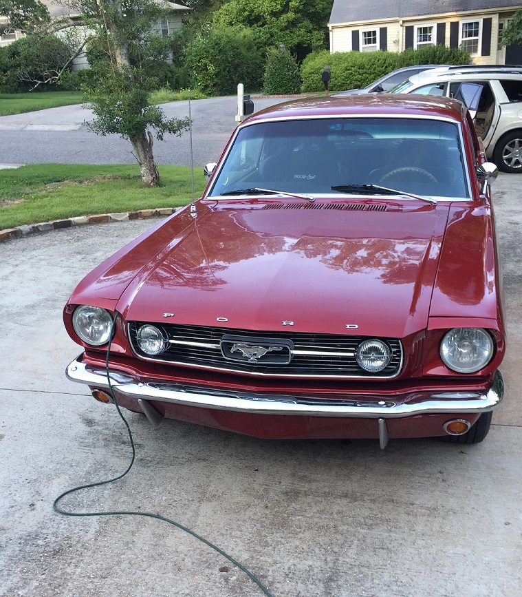 Mustang1.jpg