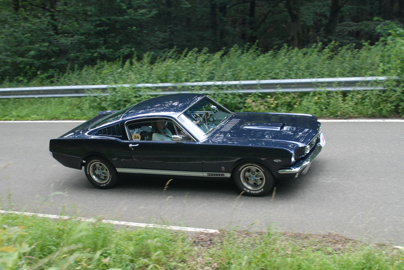 BlueFastback 1.jpg
