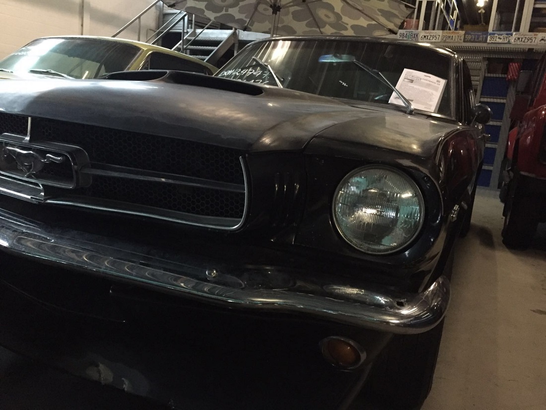 Mustang vor Kauf