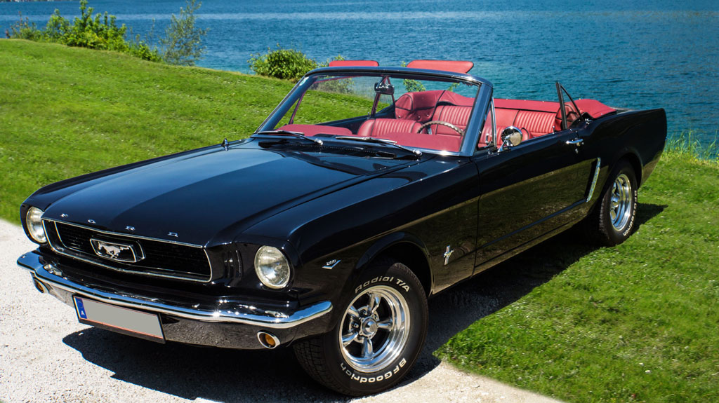 Mustang-07_01.jpg