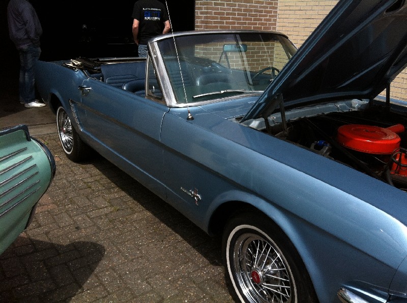 Mustang3.jpg