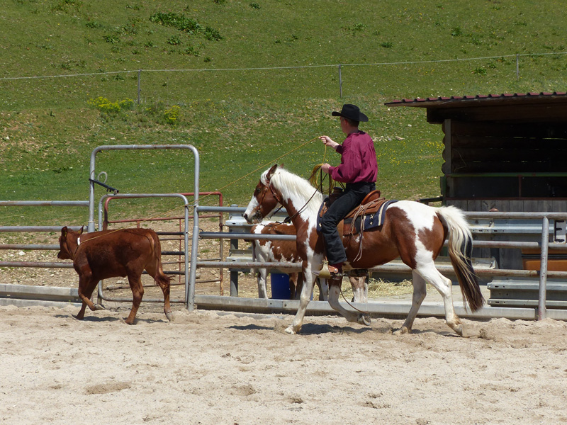 Ranch-horse-day-105.jpg
