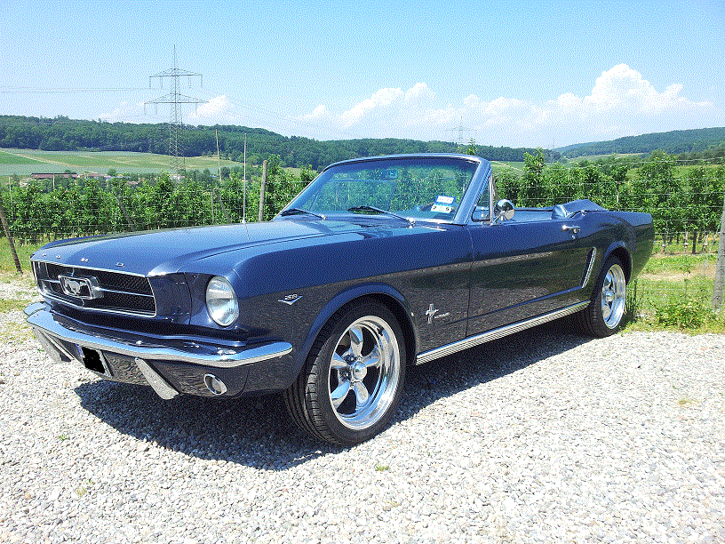 Mustang.gif