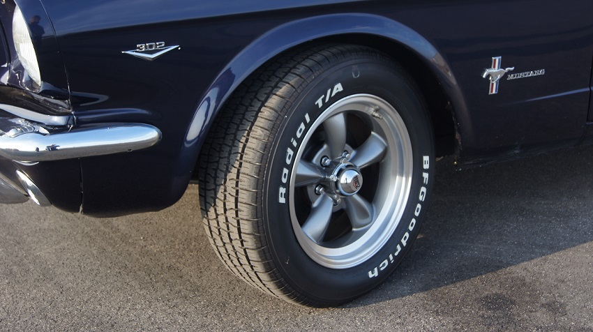 mustang xx.jpg