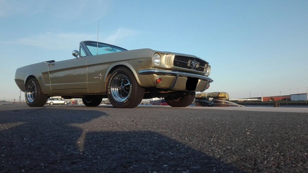 Mustang.jpg