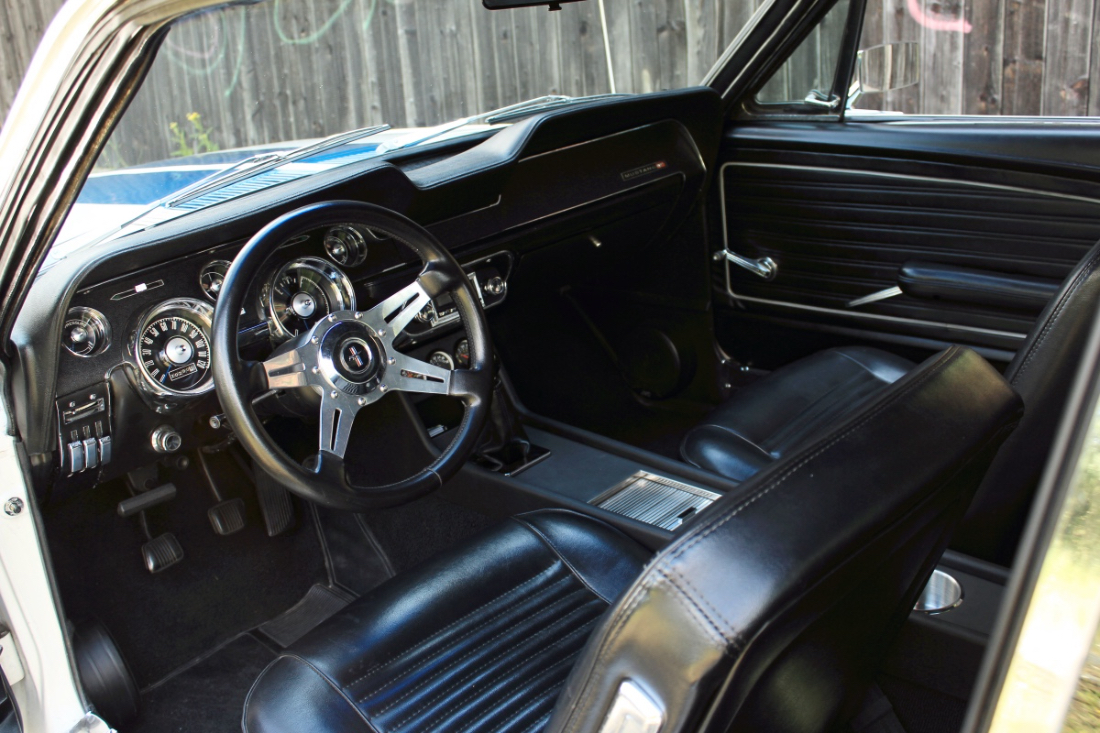 Mustang_1.jpg
